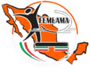 cropped iconos y logos femeama final.png